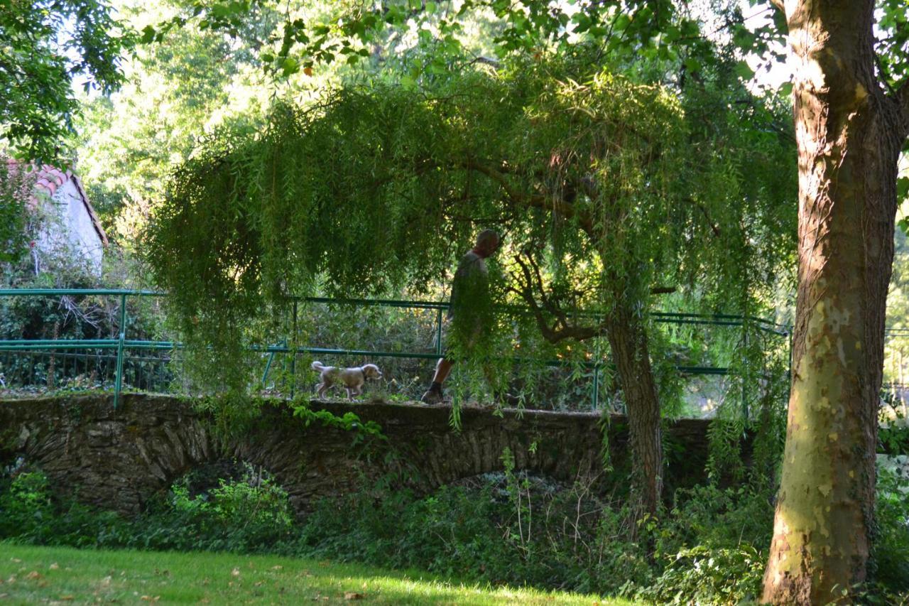 Villa Le Moulin Neuf à Beaupréau-en-Mauges Extérieur photo